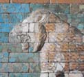 AwakeningTheLion